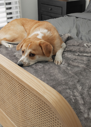 PupProtector™ Luxe Waterproof Bed Runner - Ultra Soft Chinchilla