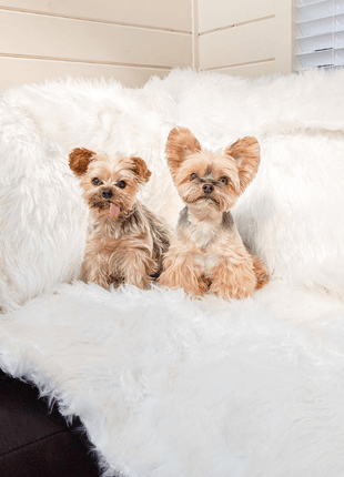 PupProtector™ Waterproof Throw Blanket - Polar White