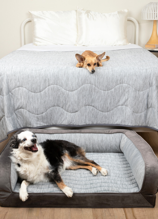 PupChill™ Cooling Bolster Dog Bed + Waterproof Blanket Bundle - Arctic Grey