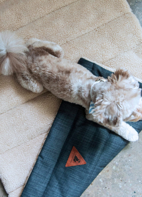 Nooee Pet Mat Jackson