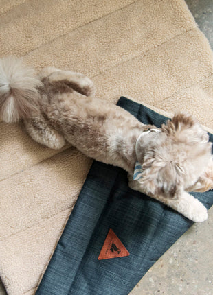 Nooee Pet Mat Jackson