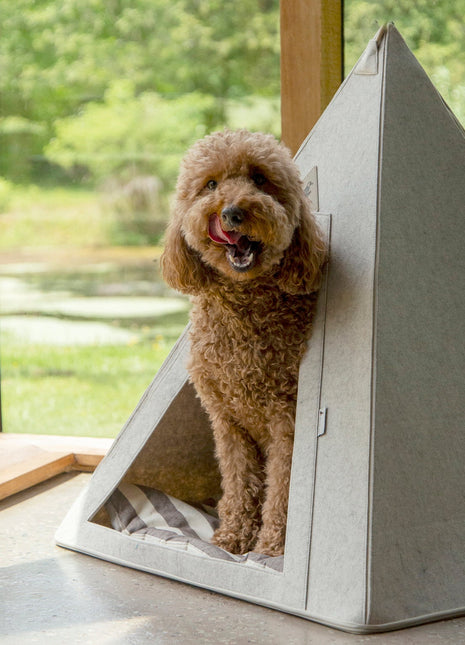 Nooee Pet Teepee Tucker (L)