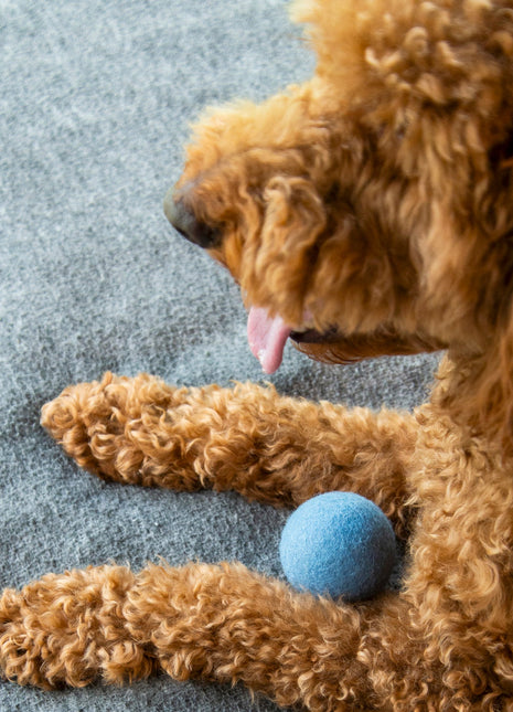 Nooee Pet Wool Toy Ball (6CM)