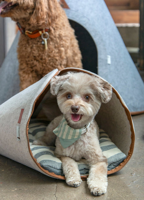 Nooee Pet Nabi Cave-Cream