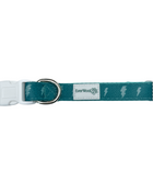 Thunderstruck Collar