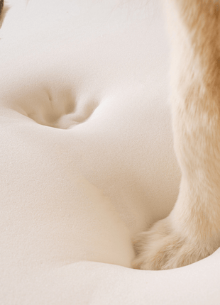 PupRug by Paw.com® Faux Fur Orthopedic Dog Bed - Curve White with Brown Accents