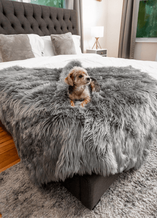 PupProtector™ Waterproof Throw Blanket - Charcoal Grey