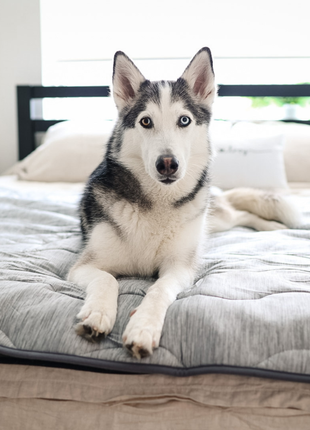 PupChill™ Cooling Waterproof Blanket - Arctic Grey