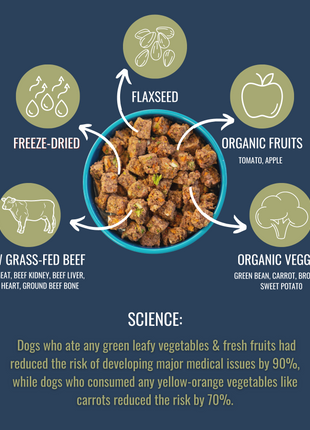 PREMIUM RAW FREEZE DRIED DOG FOOD BEEF