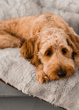 PupProtector™ Short Fur Waterproof Throw Blanket - Grey