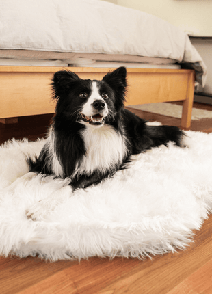 PupRug by Paw.com® Faux Fur Orthopedic Dog Bed - Curve Polar White