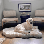Large (50