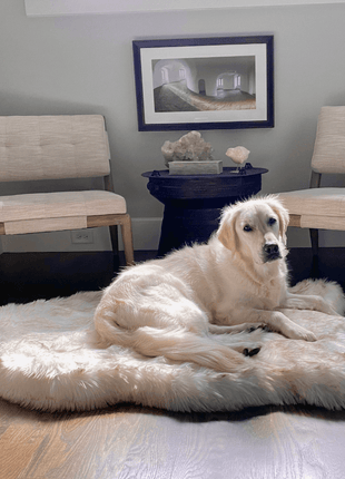 PupRug by Paw.com® Faux Fur Orthopedic Dog Bed - Curve White with Brown Accents