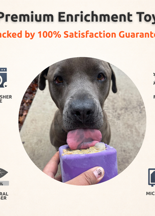 Freezbox - Super Tough Treat Toy