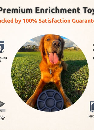 FreezWheel - Durable Interactive Chew
