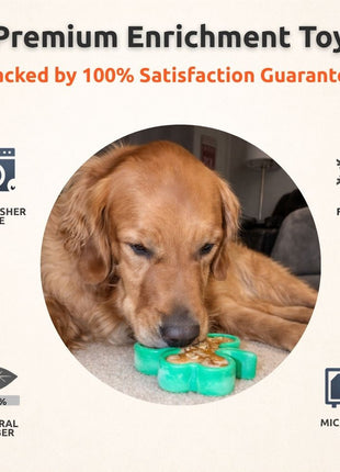FreezShamrock - Premium Enrichment Toy