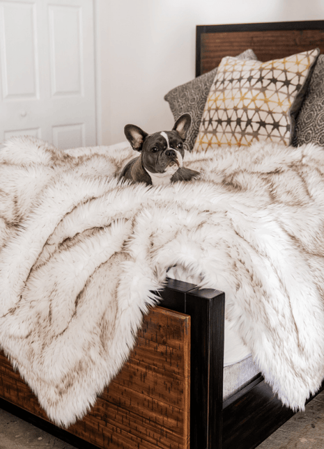 PupProtector™ Waterproof Throw Blanket - White with Brown Accents