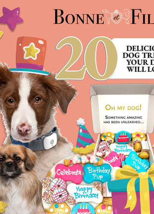 Happy Birthday Dog Treats Gift Box