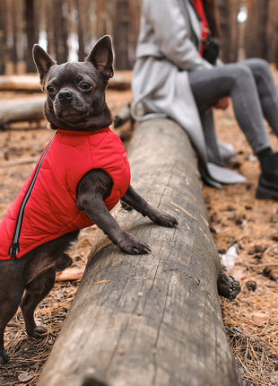 Sustainable Eco-Friendly Dog Jacket / Vest - Made in Ukraine