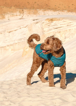 Sustainable Eco-Friendly Dog Jacket / Vest - Made in Ukraine
