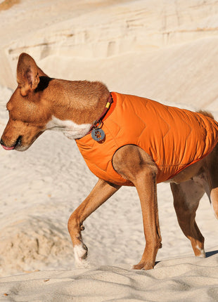 Sustainable Eco-Friendly Dog Jacket / Vest - Made in Ukraine