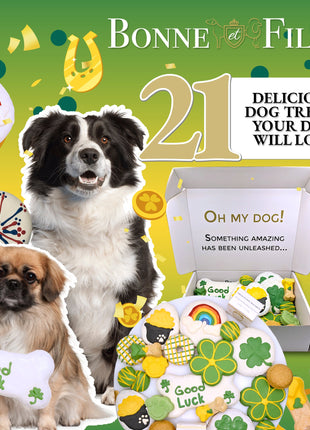 Good Luck Themed Dog Treats Gift Box