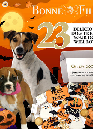Halloween Themed Dog Treats Gift Box