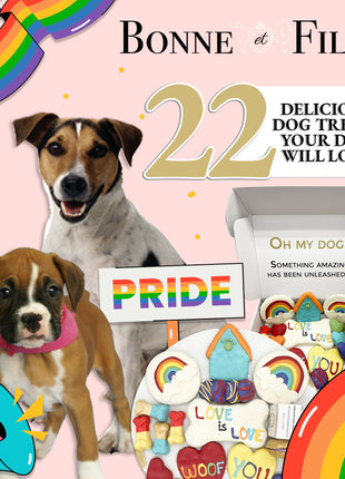 Pride Themed Dog Treats Gift Box