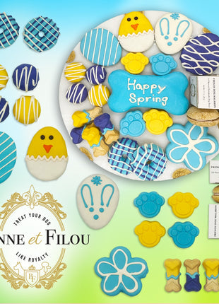 Spring Themed Dog Treats Gift Box