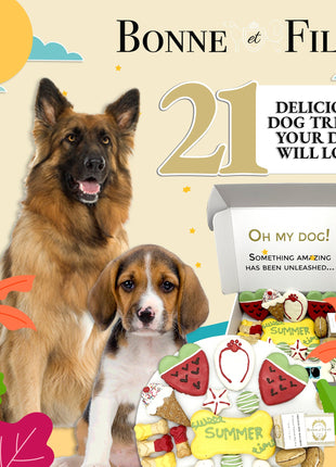 Summer Themed Dog Treats Gift Box