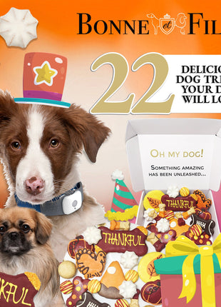 Thankful Themed Dog Treats Gift Box