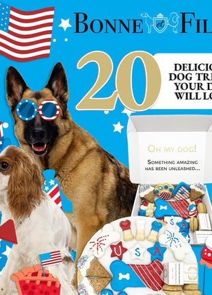USA Themed Dog Treats Gift Box