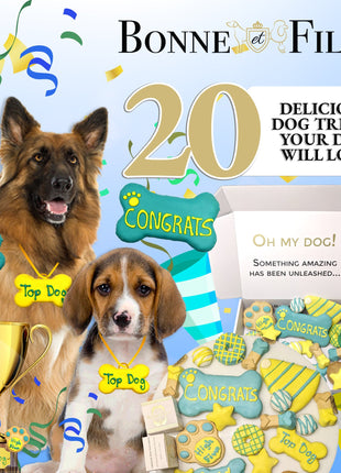 Winter Themed Dog Treats Gift Box