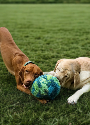 HuggleSnuffles™ SnuffleSphere™ Puzzle Ball - Pup List