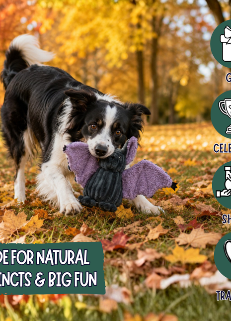 Baxter Bat Halloween Dog Toy