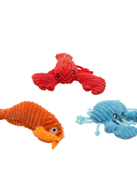 Raw Bar Wee Huggles® Plush Dog Toys, 3 pack - Pup List