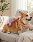 CalmCare Grooming Brush with One-Click Fur Release by Dr. Milou - Pup List