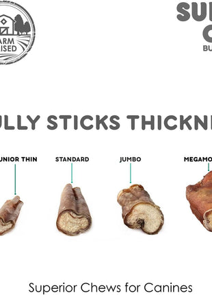 12" Standard Bully Sticks