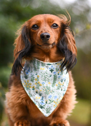 "Navy Garden Party" Dog Bandana