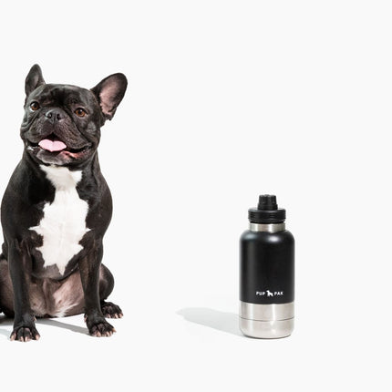 Pup Pak Dog Water Bottle with Detachable Bowls