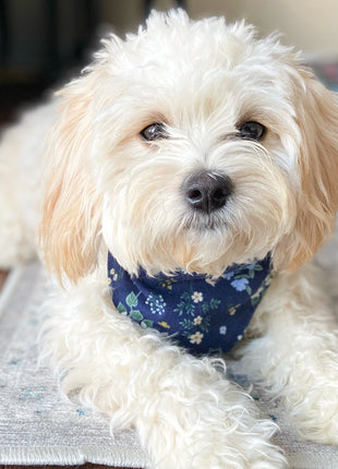 "Black & White Check" Dog Bandana