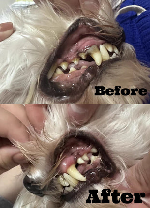 Dr. Milou Ultrasonic Home Pet Oral Care Set (100% Money Back Guarantee)