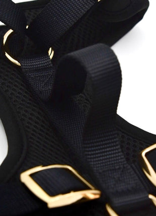 Elise Harness - Noir - Pup List
