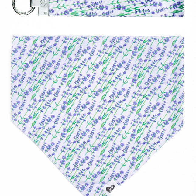 Lavender Blooms Dog Bandana & Matching Keychain
