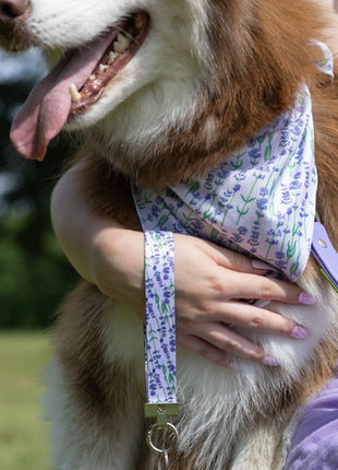Lavender Blooms Dog Bandana & Matching Keychain
