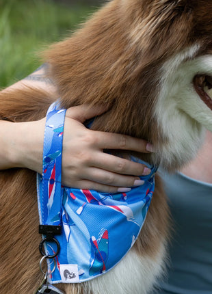K9 Kayak Dog Bandana & Matching Keychain