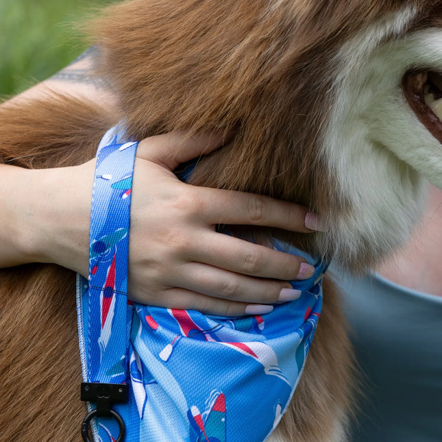 K9 Kayak Dog Bandana & Matching Keychain