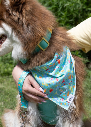Seaside Sips Dog Bandana & Matching Keychain