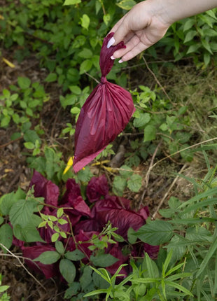 Plant Based Compostable Waste Bags