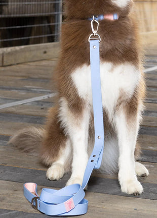 Blue Sky Orchid Waterproof Leash